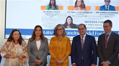 وزير المالية: شراكة القطاع الخاص ضرورة لتحقيق التنمية المستدامة