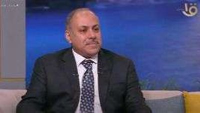 مصر تنضم لـ 52 دولة في الأمم المتحدة للمطالبة بوقف تصدير الأسلحة لإسرائيل لوقف عدوانها على غزة