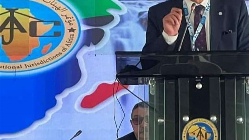 رئيس المحكمة الدستورية