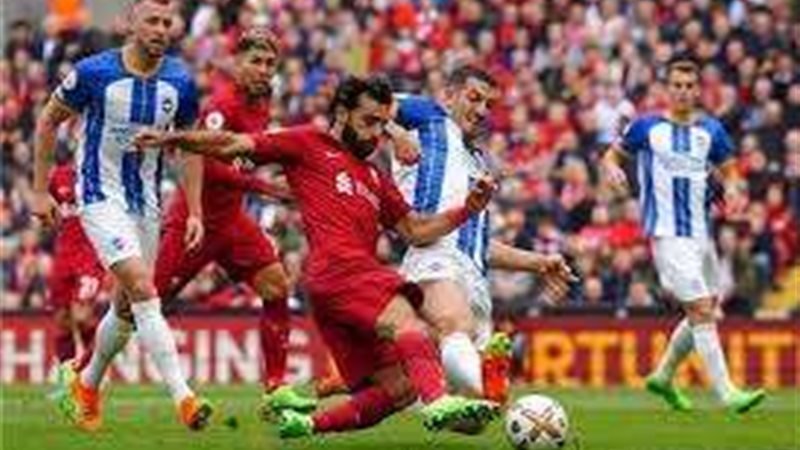 ليفربول وبرايتون