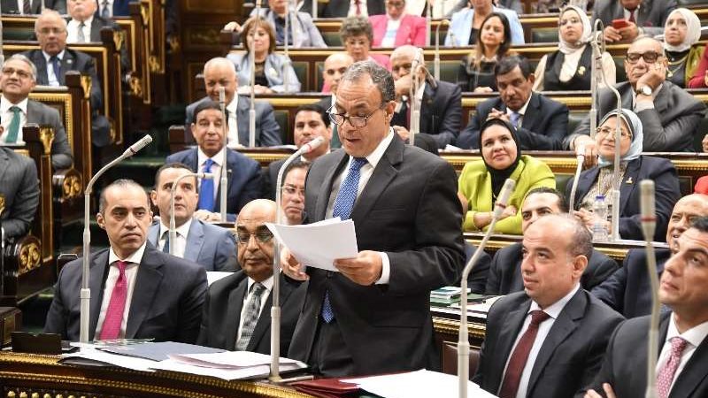 الدكتور بدر عبد العاطي،