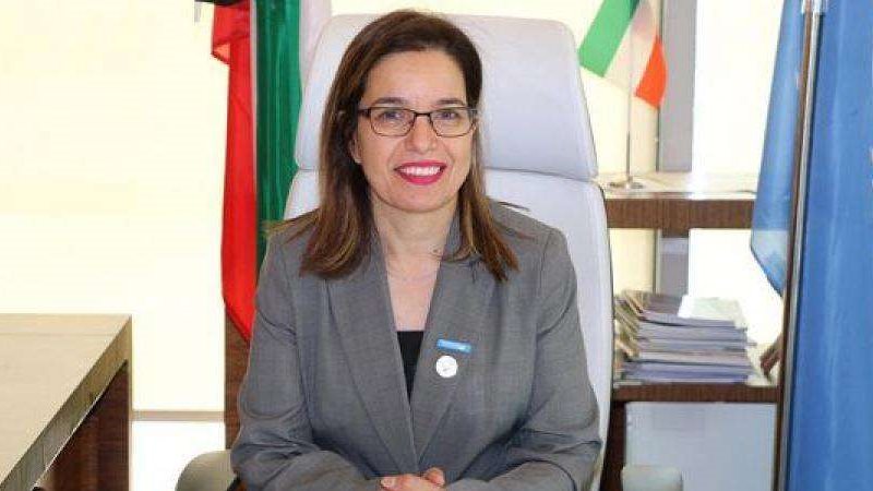 أميرة الحسن
