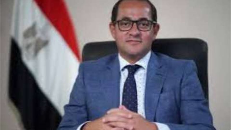 أحمد كجوك وزير المالية