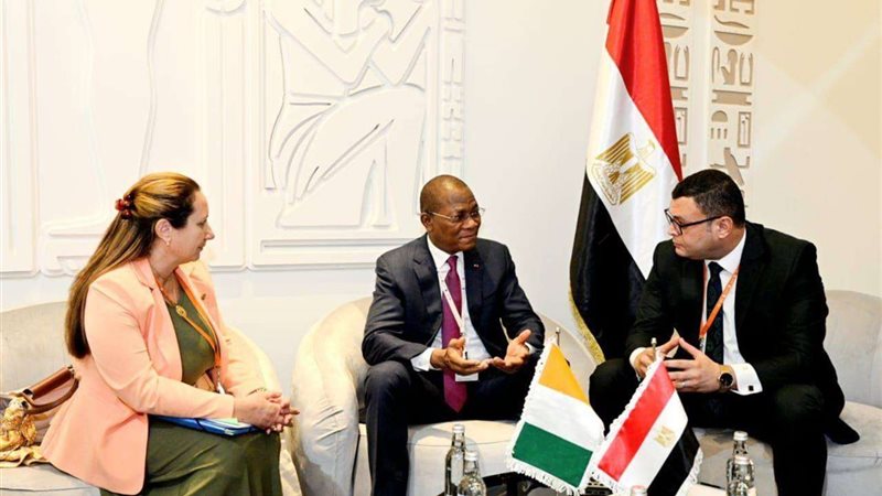 المهندس شريف الشربيني