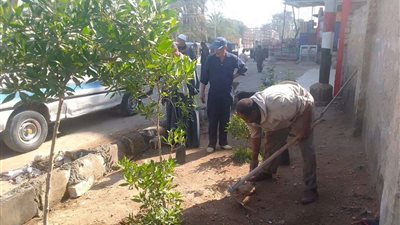 محافظ أسيوط: استكمال أعمال التشجير وزراعة الشتلات المثمرة بالشوارع والميادين بمركز البداري