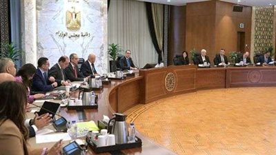 الشركات الناشئة والمؤسسات الدولية تُرحّب بتشكيل المجموعة الوزارية لريادة الأعمال