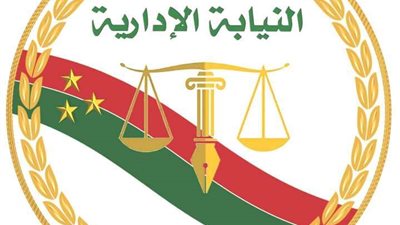 النيابة الإدارية: تشكيل لجنة لفحص عمل طبيبة كفر الدوار تمهيدًا للتحقيق معها