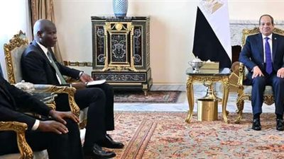 الرئيس السيسي يؤكد ترحيب مصر باستمرار التشاور والتنسيق مع جنوب أفريقيا على جميع المستويات