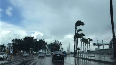 شبورة كثيفة وبرودة ليلاً.. الأرصاد تعلن تفاصيل حالة الطقس غدًا الجمعة