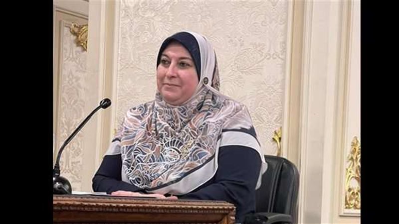 النائبة حنان حسنى