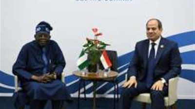 بقمة العشرين.. السيسي يبحث مع الرئيس النيجيري تعزيز التعاون المشترك