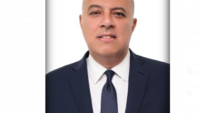 أبرز المعلومات عنه ..السفير محمد الشناوي متحدثًا رسميًا لرئاسة الجمهورية