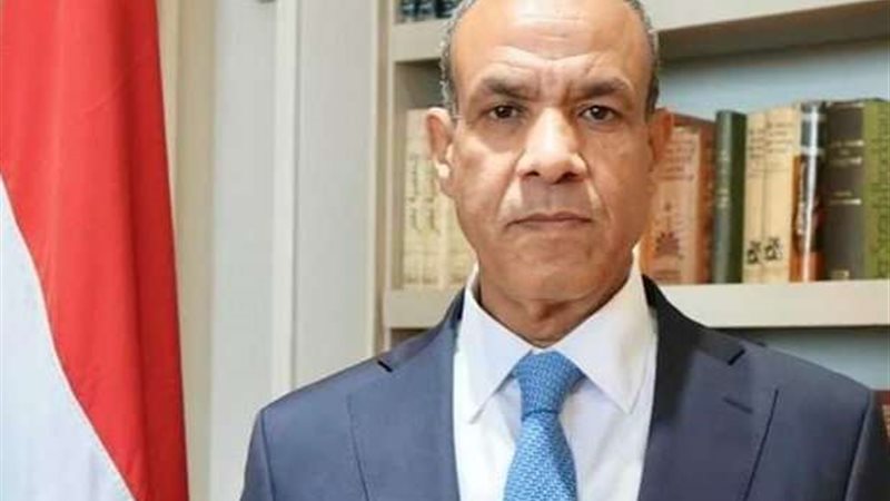 بدر عبد العاطي وزير