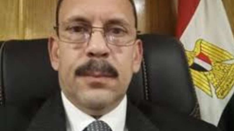 الأستاذ الدكتور علي