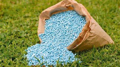 خاص| مع بداية الموسم الشتوي.. الحكومة تتخذ إجراءات لضمان توافر الأسمدة كمفتاح للأمن الغذائي