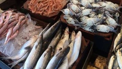 تعرف علي أسعار الأسماك اليوم ..والجمبري يسجل 600 جنيه