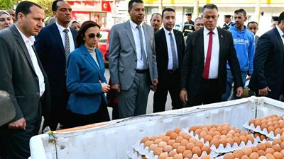 بالتنسيق مع الإصلاح الزراعي بالبحيرة....محافظ البحيرة تطلق أكبر قافلة لتوفير بيض المائدة بأسعار مخفضة