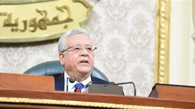 مجلس النواب ينفى مناقشة أي مشروعات قوانين لتحصيل رسوم من المصريين بالخارج أو المسافرين أو العائدين