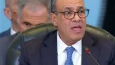 وزير الخارجية: هدفنا تعزيز استجابة المجتمع الدولي للأزمة الإنسانية في غزة