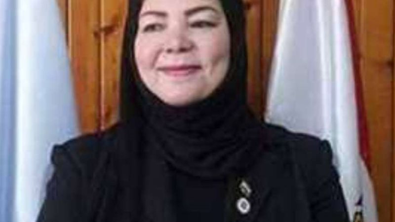 خبيرة الطاقة وفاء