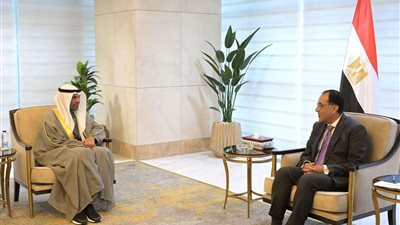 اليحيا: دعم الاستثمارات الكويتية في مصر أحد أولويات مجلس الوزراء الكويتي