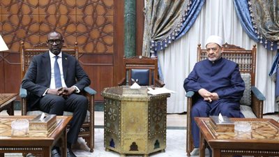 وزير خارجية مالي يدعو شيخ الأزهر لزيارة بلاده وتعزيز التعاون التعليمي والدعوي
