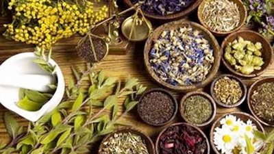 خاص /خبير زراعي: سيناء مخزون استراتيجي للنباتات الطبية والعطريه في مصر