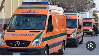 انقلاب ميكروباص بالشرقية يتسبب فى مصرع وإصابة 3ا شخصا