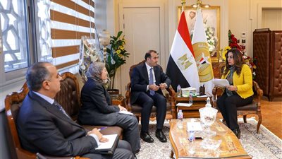 وزيرة التنمية المحلية تبحث مع ممثل 