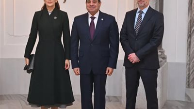 الرئيس السيسي: نتطلع لمزيد من التعاون مع الدنمارك على المستوى البرلماني
