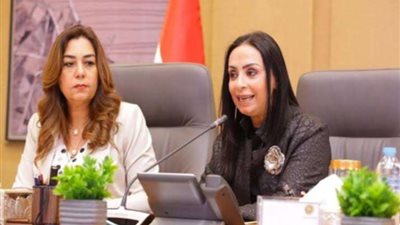 محافظ شمال سيناء يستقبل اليوم وزيرتا التنمية المحلية والتضامن الاجتماعي