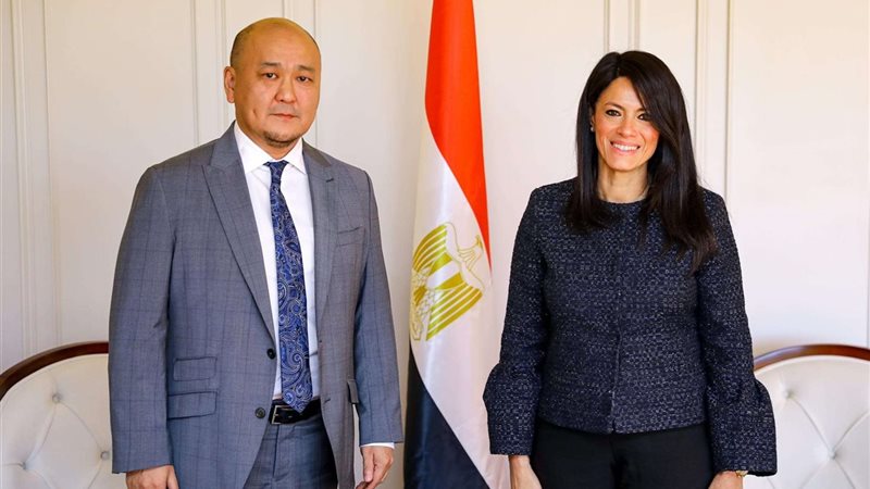 وزيرة التخطيط والتنمية