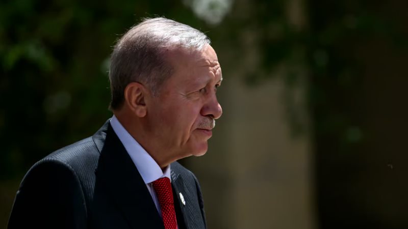 رجب طيب اردوغان