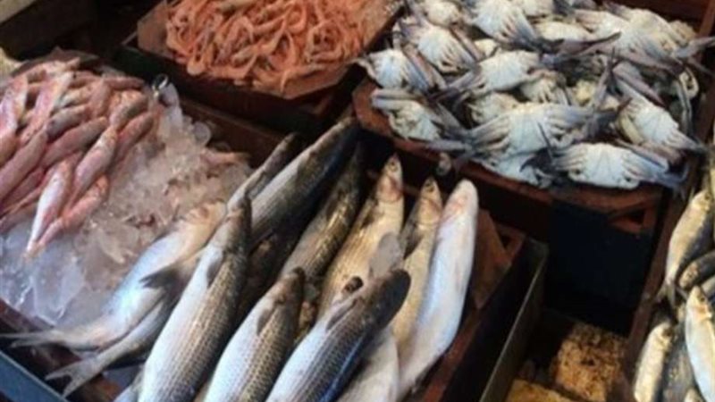 أسعار الاسماك اليوم