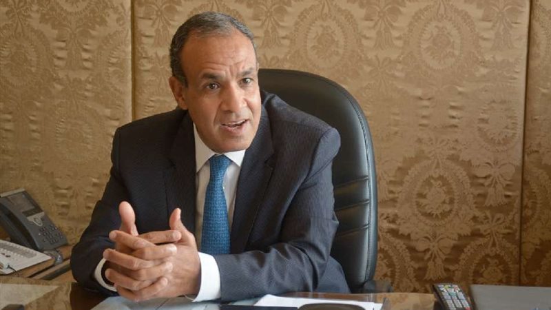 بدر عبد العاطي