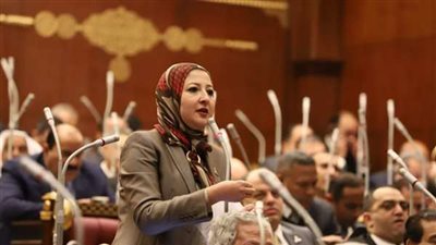 برلمانية تؤكد أهمية إعادة هيكلة منظومة الدعم لضمان وصوله للمستحقين،