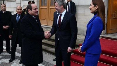 التفاصيل كاملة..السيسي يجري مباحثات مطوّلة مع الرئيس الإيرلندي في دبلن