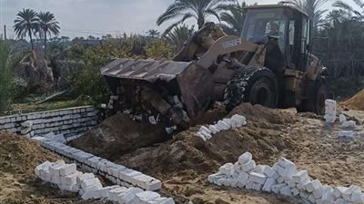 إزالة 69 حالة تعدي على أملاك الدولة والأراضي الزراعية خلال حملات مكثفة بالبحيرة