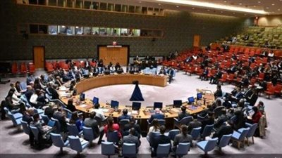 مجلس الأمن يعقد اجتماعًا طارئًا لبحث تداعيات سقوط الرئيس بشار نظام الأسد