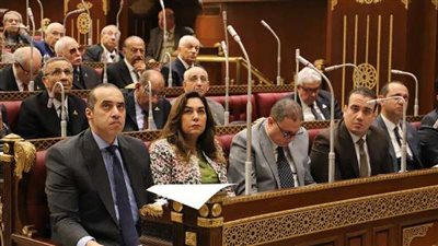 وزير التنمية المحلية : اللائحة التنفيذية قابلة للتطبيق لتسهيل إجراءات لتقنين وضع اليد