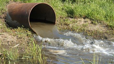 مقترح لاستخدام مياه الصرف الصحي في ري الأشجار غير المثمرة