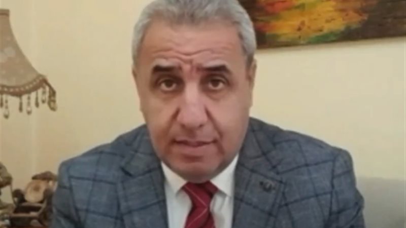 عادل محمود، محلل