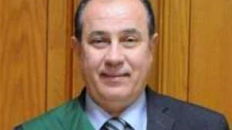ارشيفيه