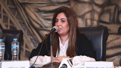 أميرة العادلي ترفض انتقاد نجاد البرعي بعدم دستورية القوانين التي أصدرها البرلمان