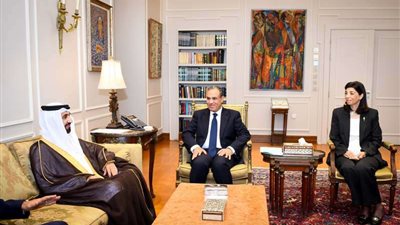 وزير الخارجية : ضرورة الارتقاء بدور البرلمان العربي لتعزيز العلاقات بين الدول العربية