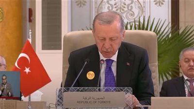 أردوغان: ضرورة دعم سوريا من قبل الأمم المتحدة والمنظمات الدولية