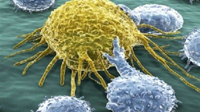 استشاري مناعة يكشف أنواع الفيروسات المنتشرة بمصر وطرق الوقاية منها