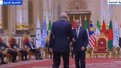 السيسي يتسلم رئاسة مجموعة الدول الثماني الإسلامية النامية ويستقبل الرؤساء المشاركين