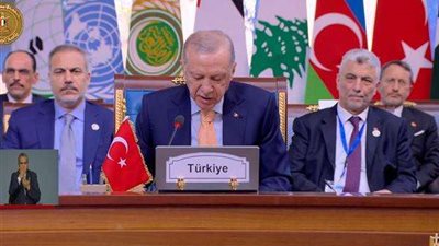 الرئيس التركي: ننتظر من قمة الدول الثماني قرارات للتعافي من الأزمات العالمية