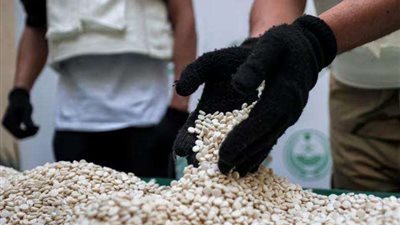 السعودية تنفذ أحكام الإعدام بحق متهمين باكستانيين في قضيتين منفصلتين